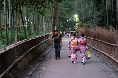 La forêt de bambous de Sagano, Arashiyama, Kyoto. Photo : Sergey Korneev (SergioOren), CC BY-SA 4.0, Wikimedia Commons.